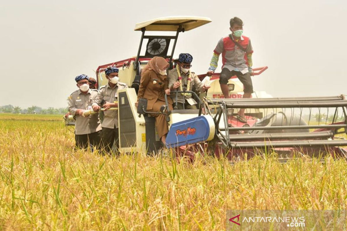 HPS ke-41, FAO apresiasi capaian pembagunan pertanian di masa COVID-19