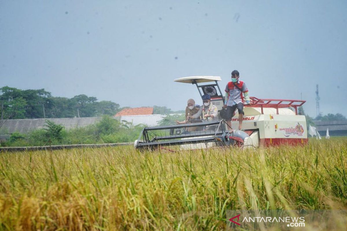 Peringati HPS ke-41, Mentan SYL: Pertanian siap hadapi perubahan iklim