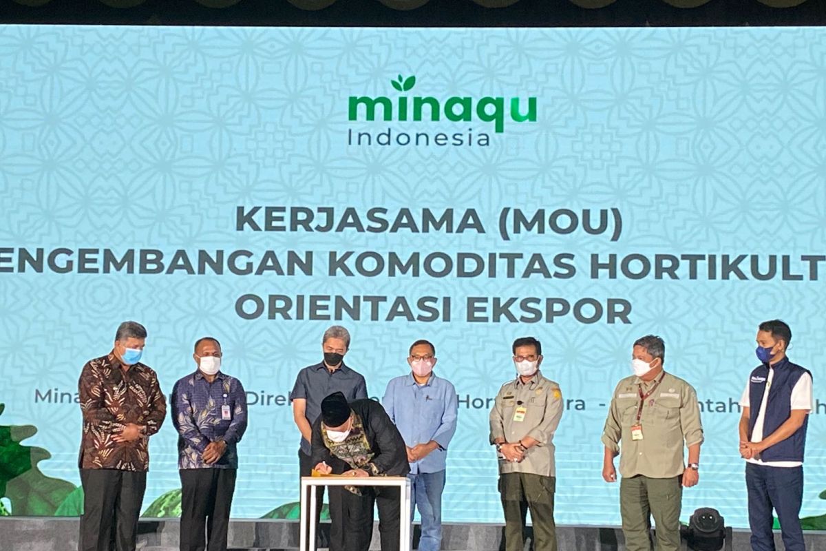 Aceh Tengah masuk kawasan pengembangan komoditas hortikultura orientasi ekspor