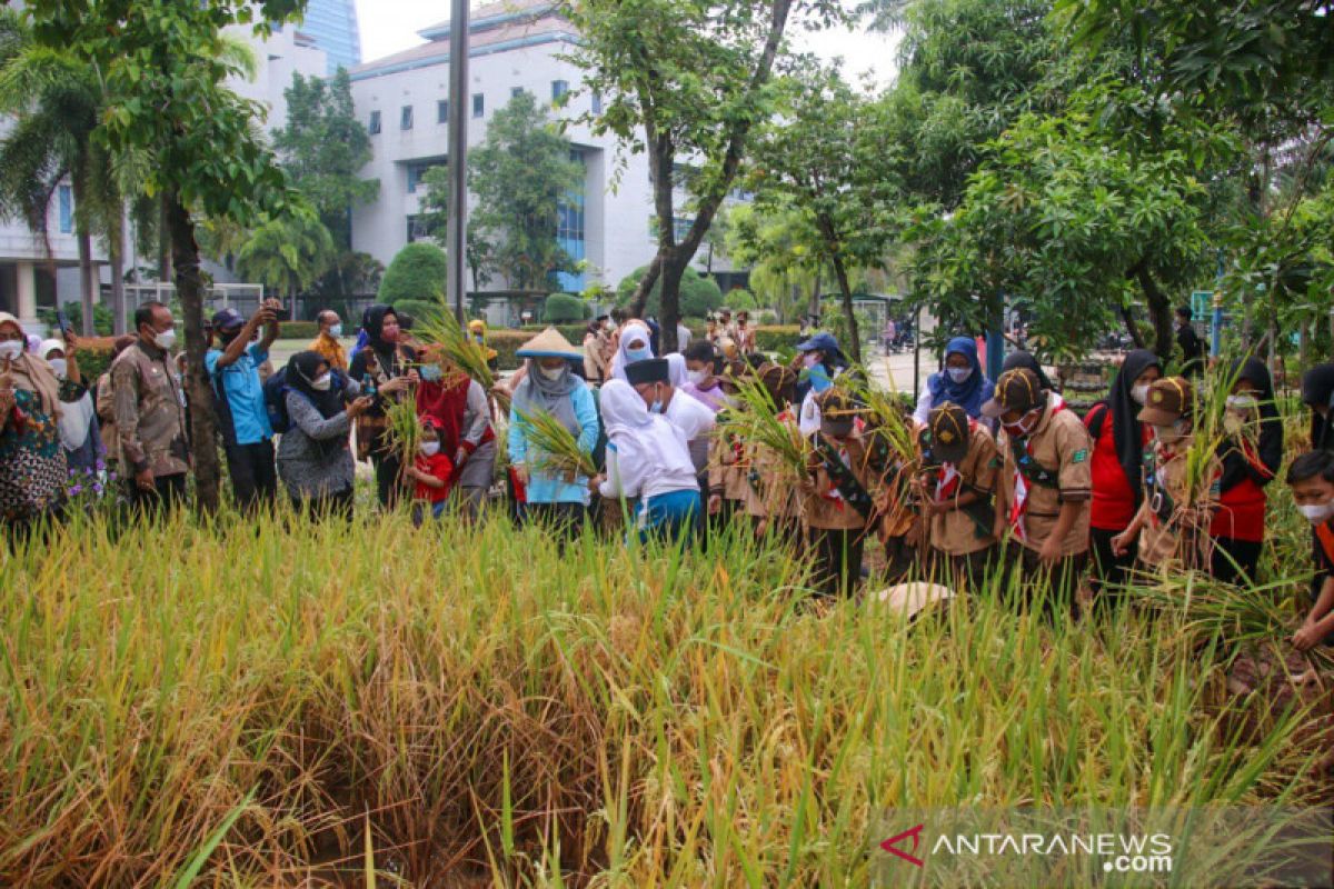 Sumpah Pemuda, puluhan siswa PAUD dan SD ikut panen di Walkot Farm