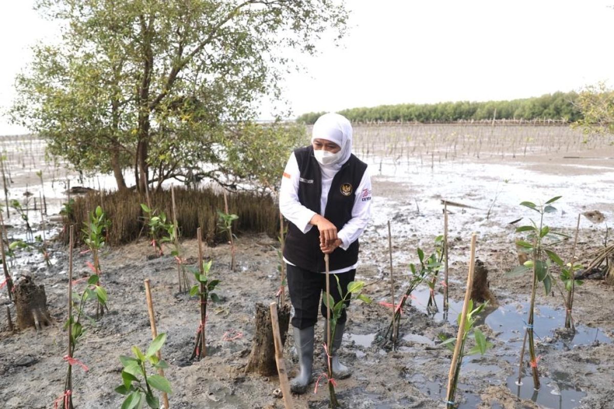 Gubernur Jatim dorong penguatan ekosistem lingkungan antisipasi bencana hidrometeorologi