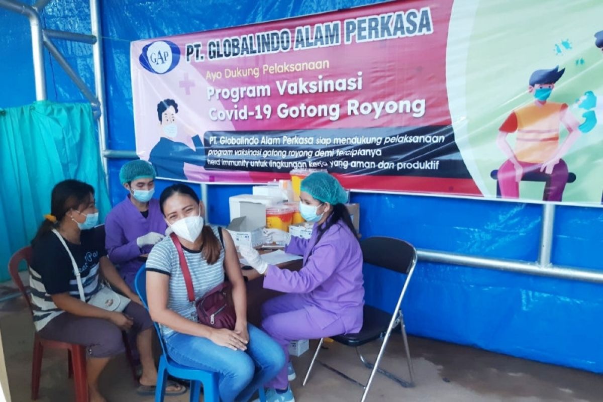 PT Globalindo Alam Perkasa gelar Vaksinasi Gotong Royong diikuti 500 peserta