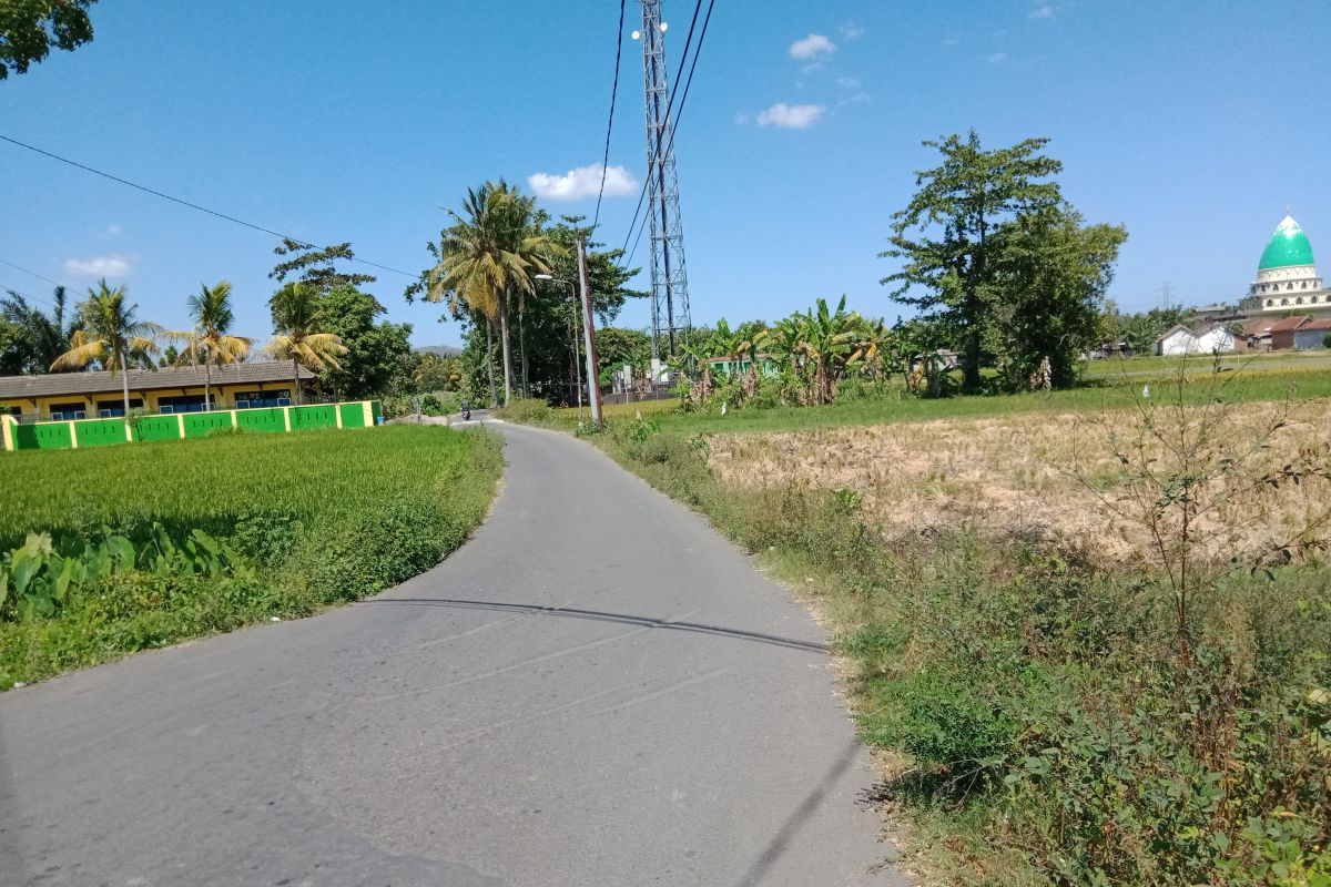 Peningkatan kualitas jalan desa memicu alih fungsi lahan di Mataram