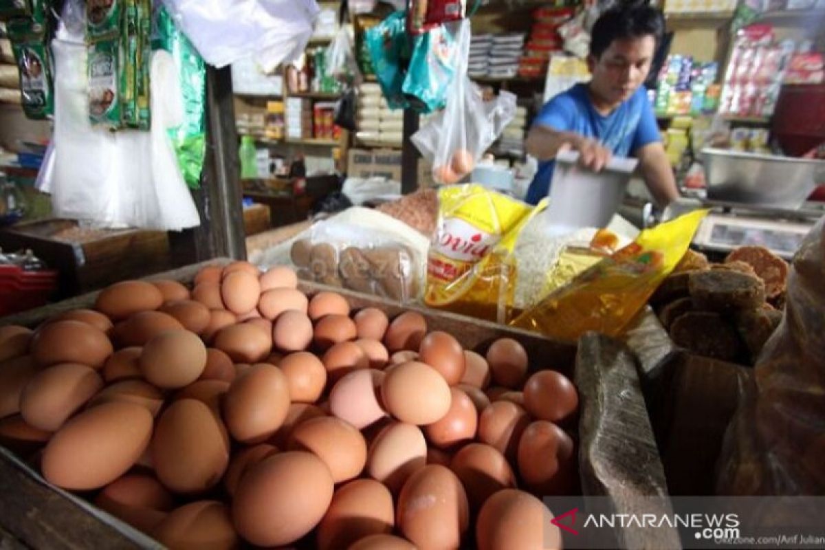 Harga telur ayam di Kendari tetap stabil