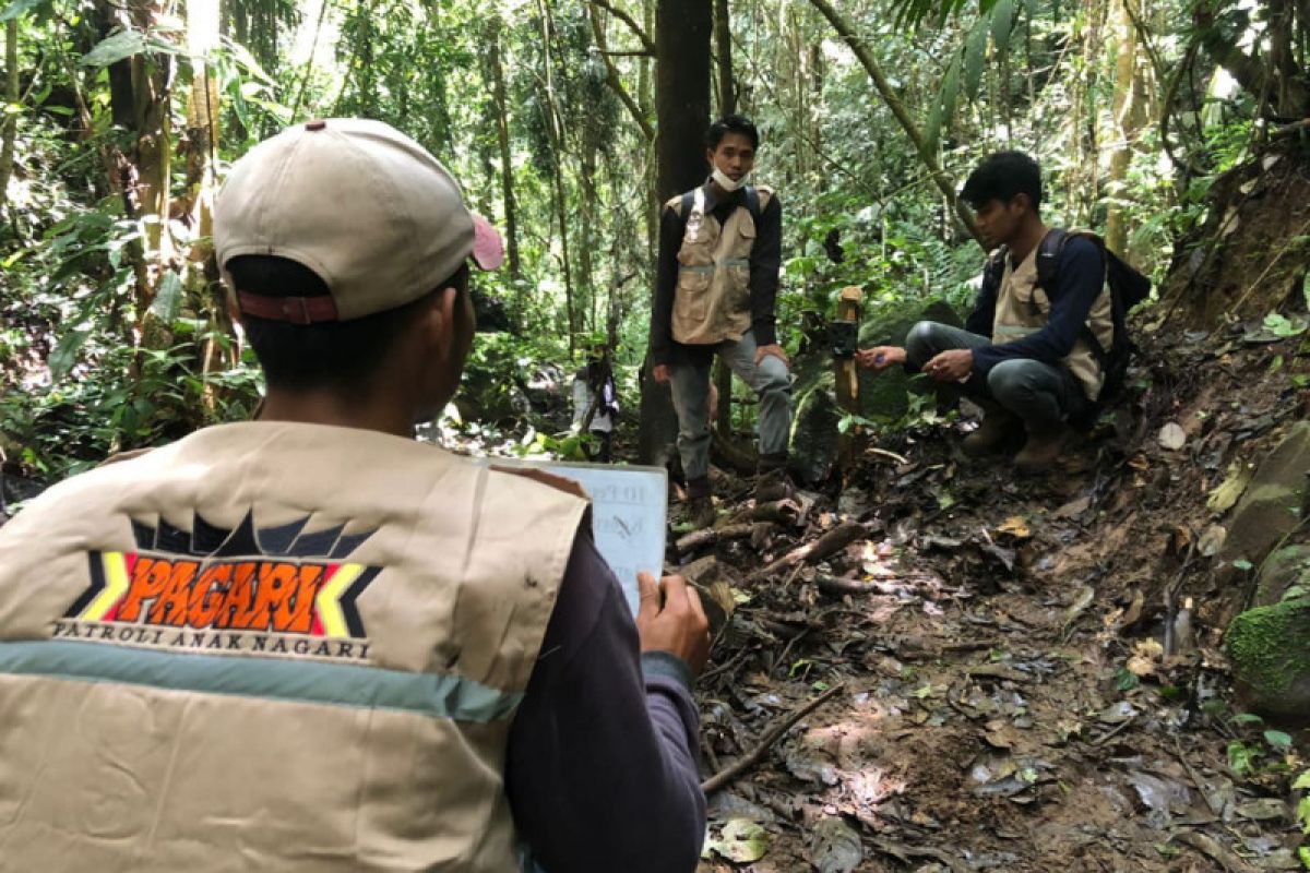 BKSDA Sumbar bentuk tim Pagari dukung nagari Ramah Harimau di Agam