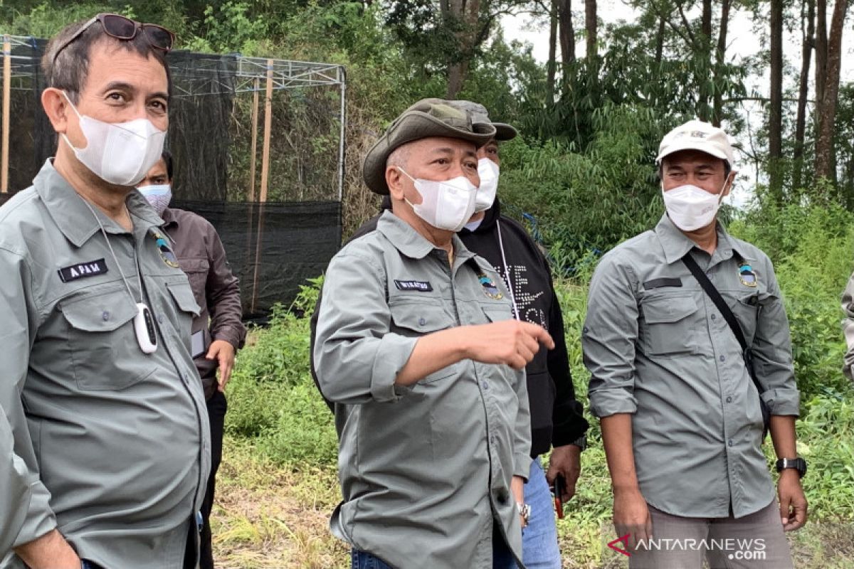 KLHK: Selama pandemi, satwa liar bermunculan di taman nasional