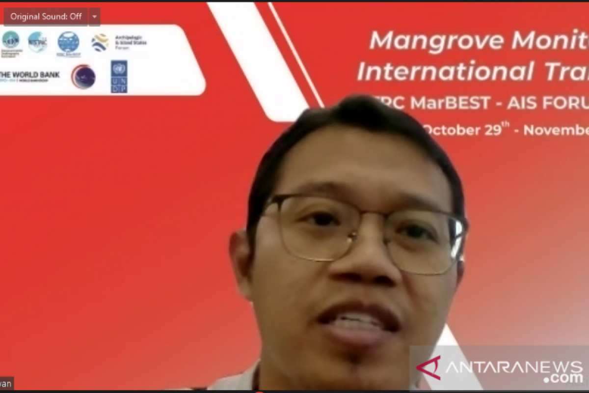 BRIN luncurkan MonMang v2.0 permudah identifikasi mangrove Indonesia