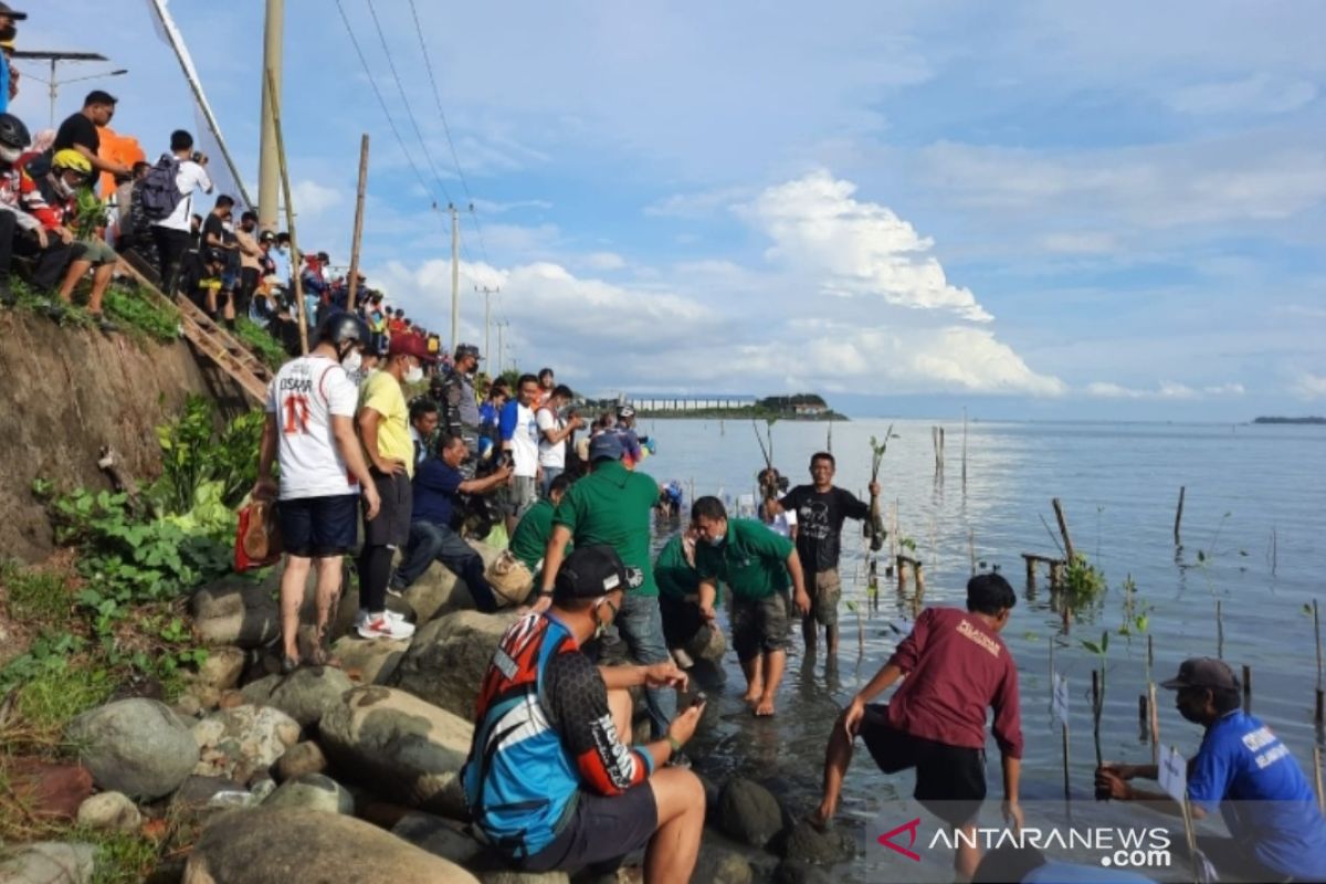 Institusi pemerintah kolaborasi tanam 2.500 bibit bakau di Kota Makassar