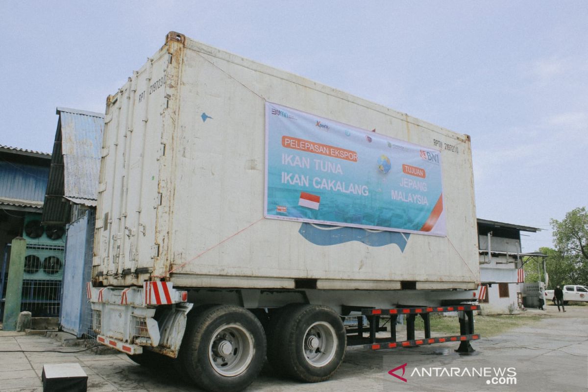 Produk Nelayan Sikka tembus pasar Jepang-Malaysia lewat BNI Xpora