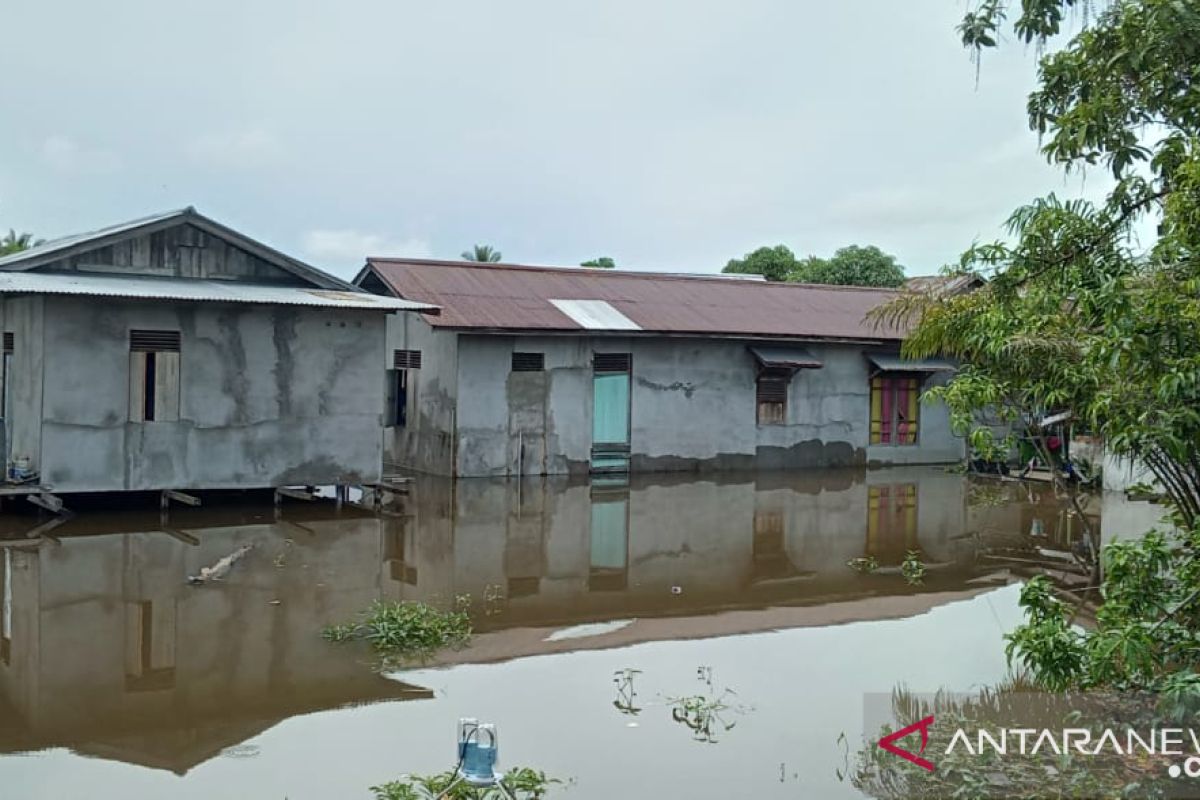 Ribuan rumah warga di Sanggau terdampak banjir