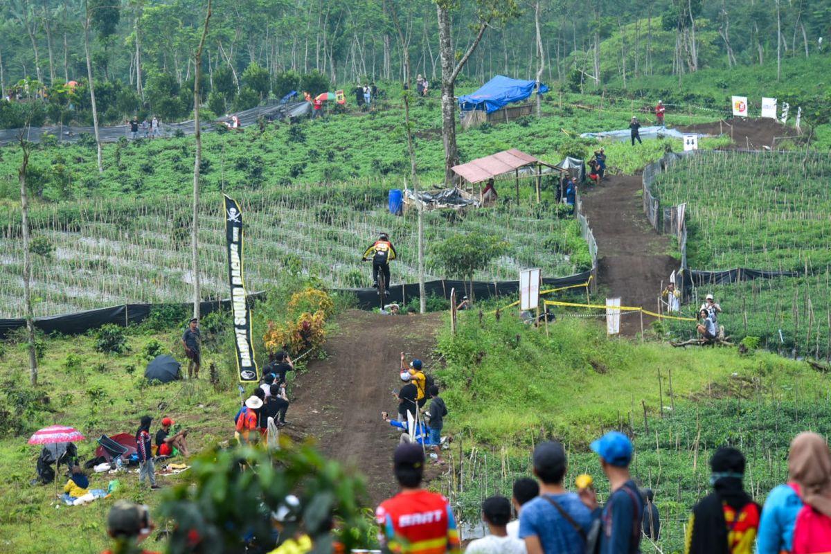 Tahun depan Banyuwangi perbanyak kegiatan sepeda