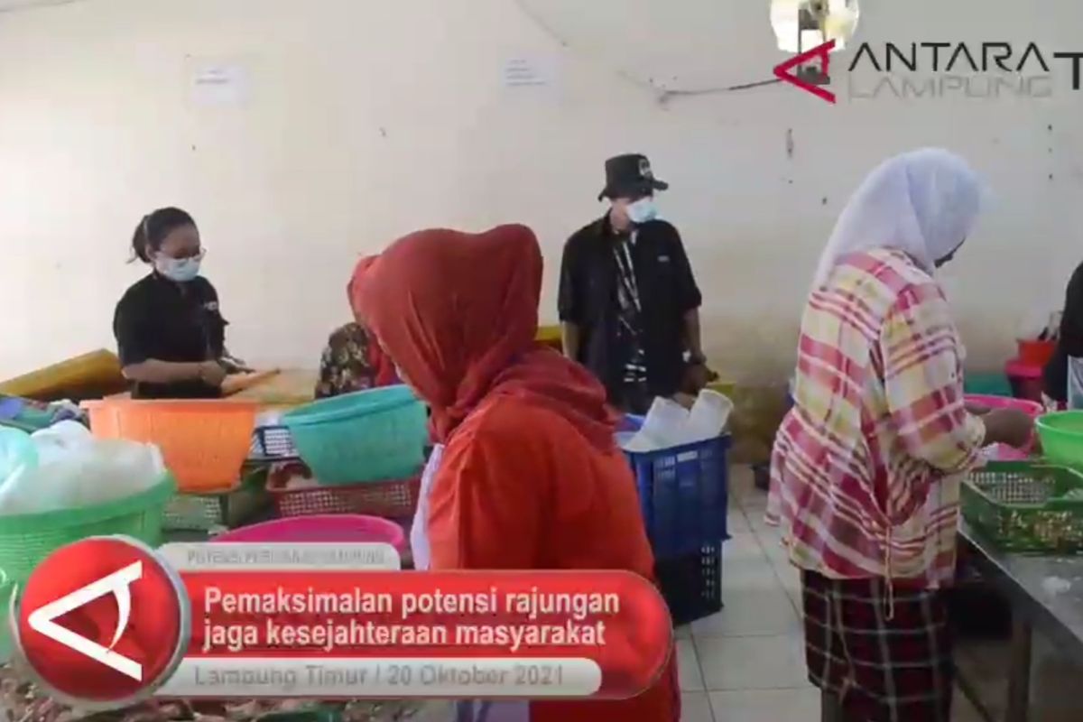 Maksimalkan potensi rajungan jaga kesejahteraan masyarakat