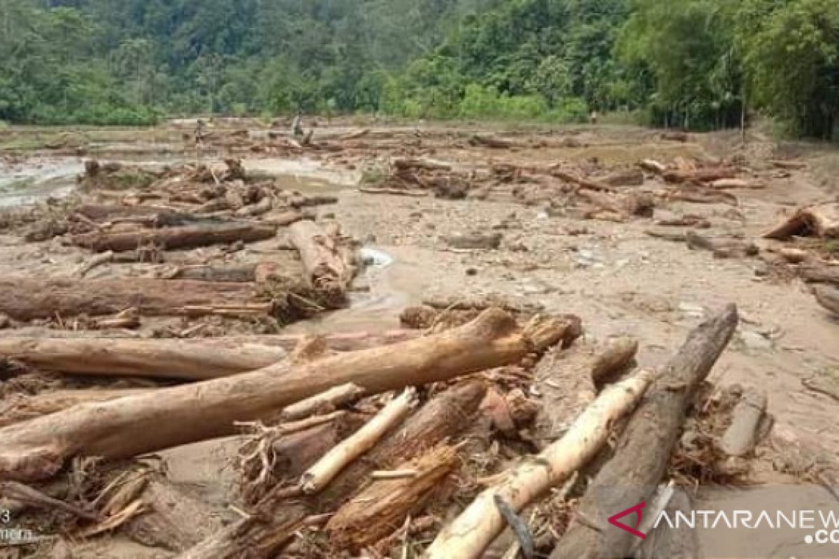 30 hektare sawah petani di Aek Bilah Tapsel rusak akibat banjir