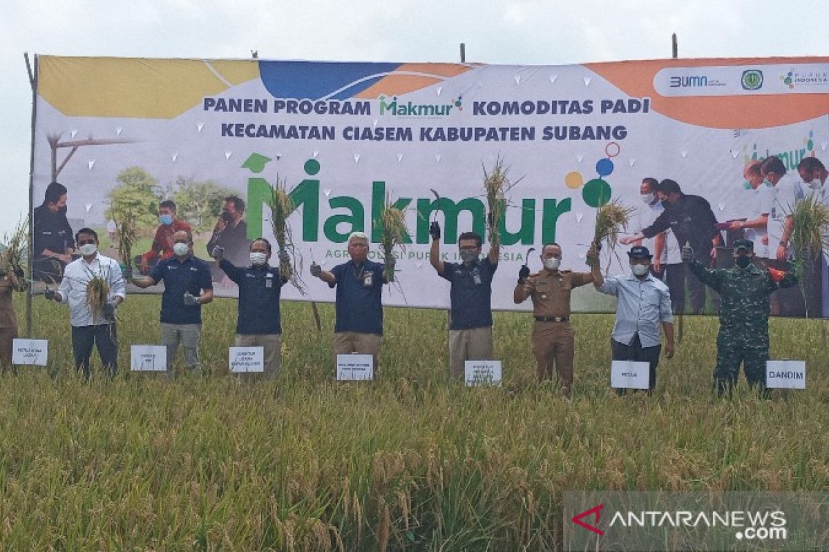 Pupuk Indonesia: Program Makmur bakal naikkan produktivitas petani 44 persen