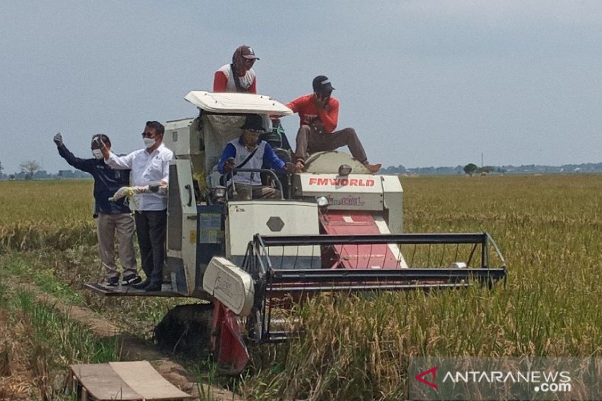 Pupuk Kujang: Program Makmur meningkatkan keuntungan petani 32 persen