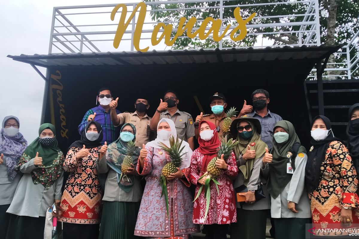 Display inovasi produk nanas lengkapi fasilitas agrowisata Tangkit Baru