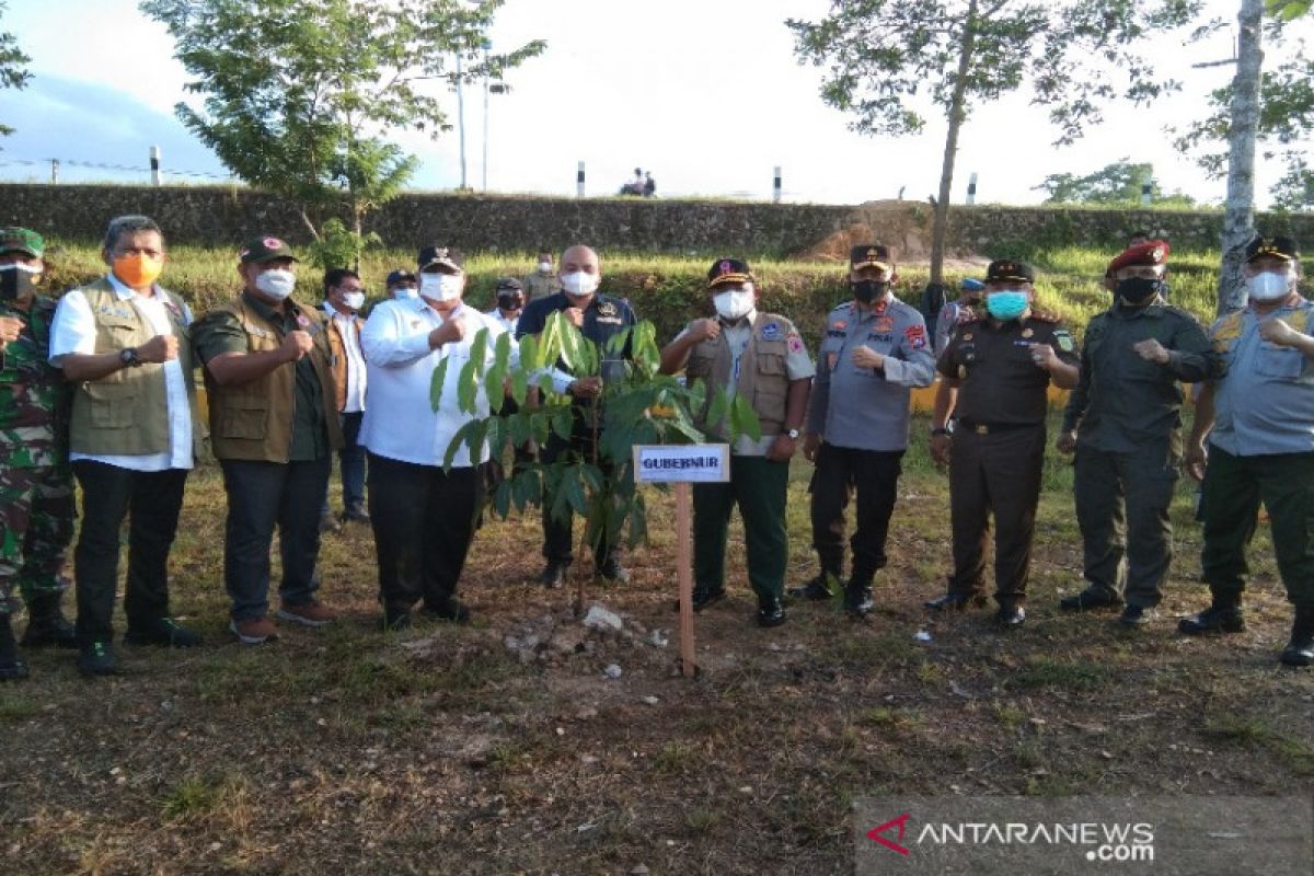 Gubernur Sultra dan BNPB tanam 1.000 pohon mitigasi bencana di Kendari