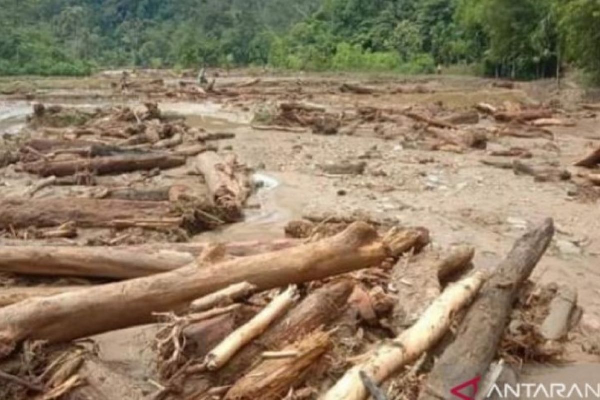 Puluhan hektare sawah di Tapanuli Selatan terendam banjir