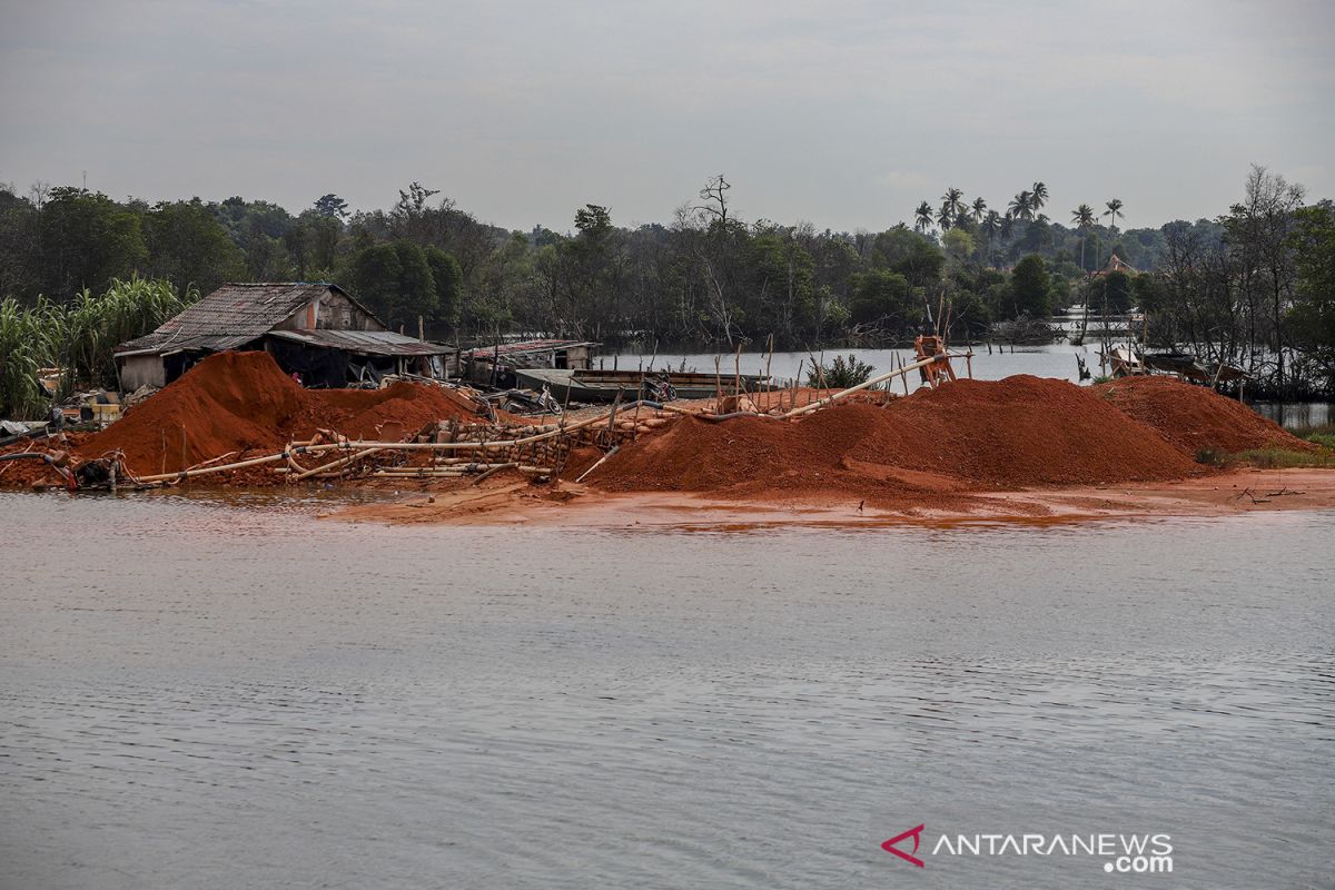 Kerusakan Hutan Mangrove Batam Antara News