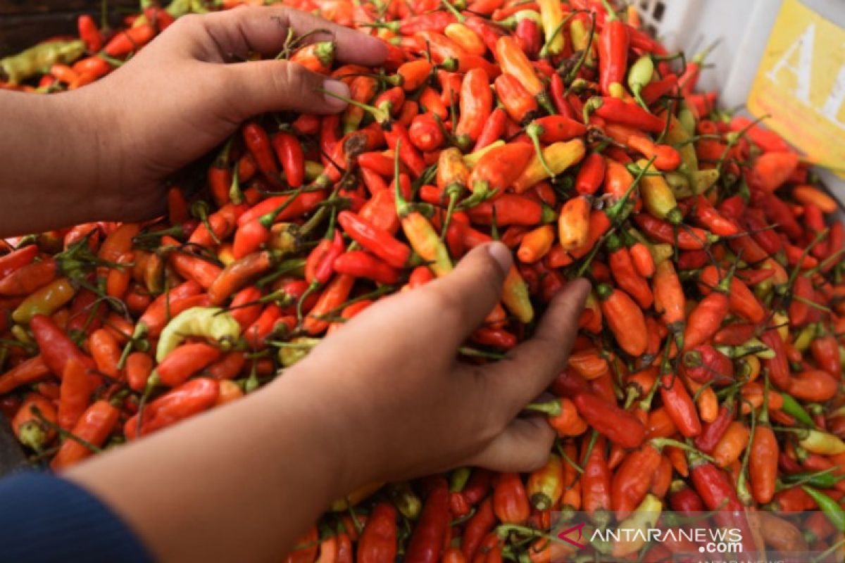 BPS: Kelompok makanan picu inflasi Oktober di Pangkalpinang 0,60 persen