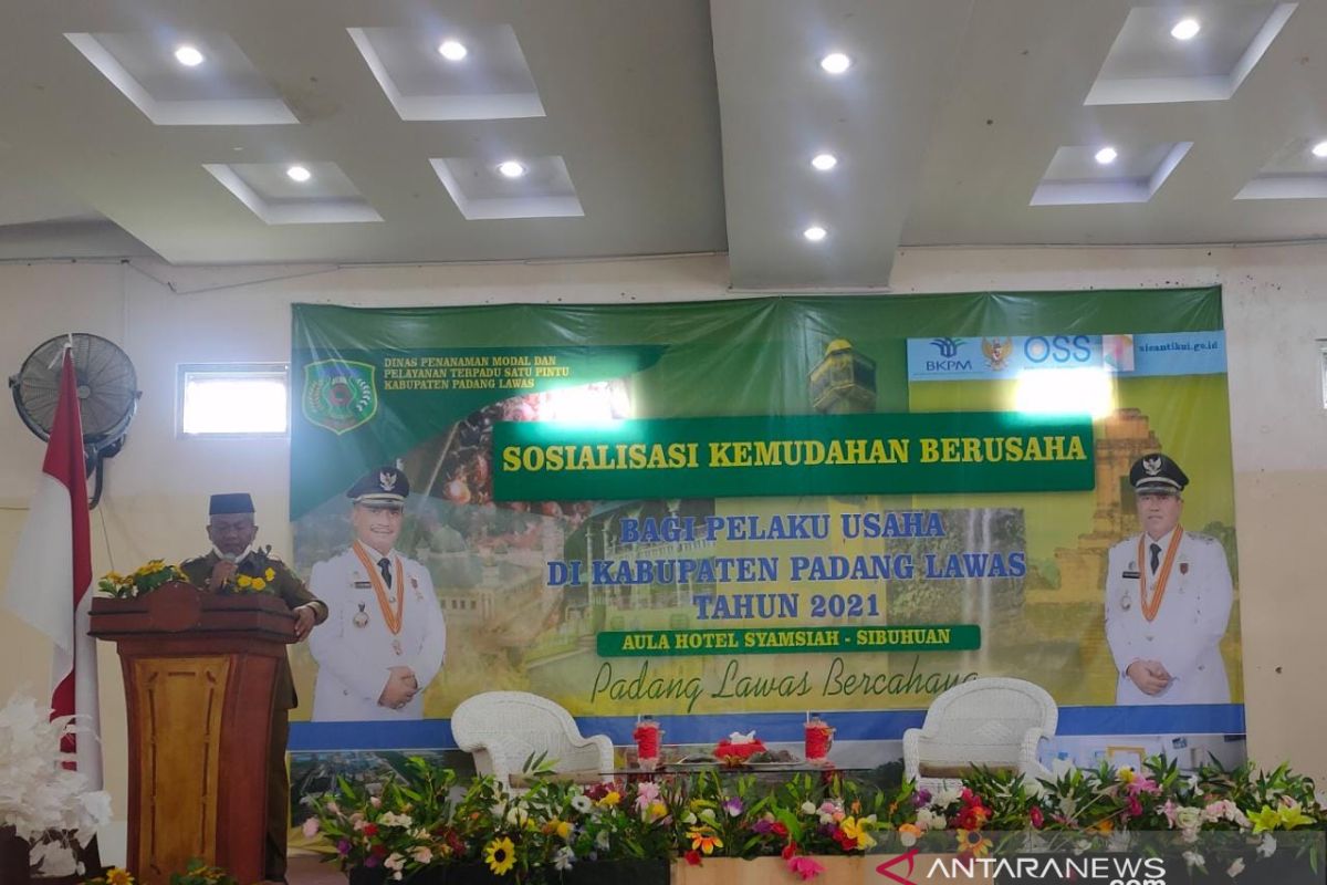 Dinas PMPTSP Palas sosialisasi kemudahan berusaha bagi  pelaku usaha