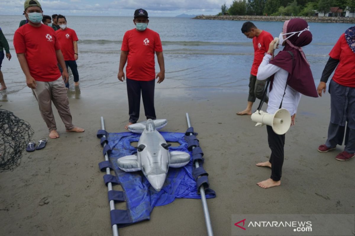 WWF mencatat 444 kejadian mamalia laut terdampar di Indonesia dalam lima tahun