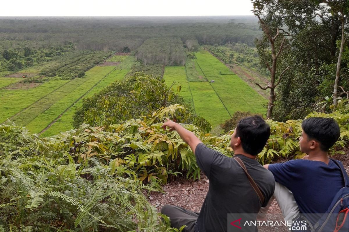 Aktivis lingkungan Kalbar dukung pengolahan hutan sekitar desa