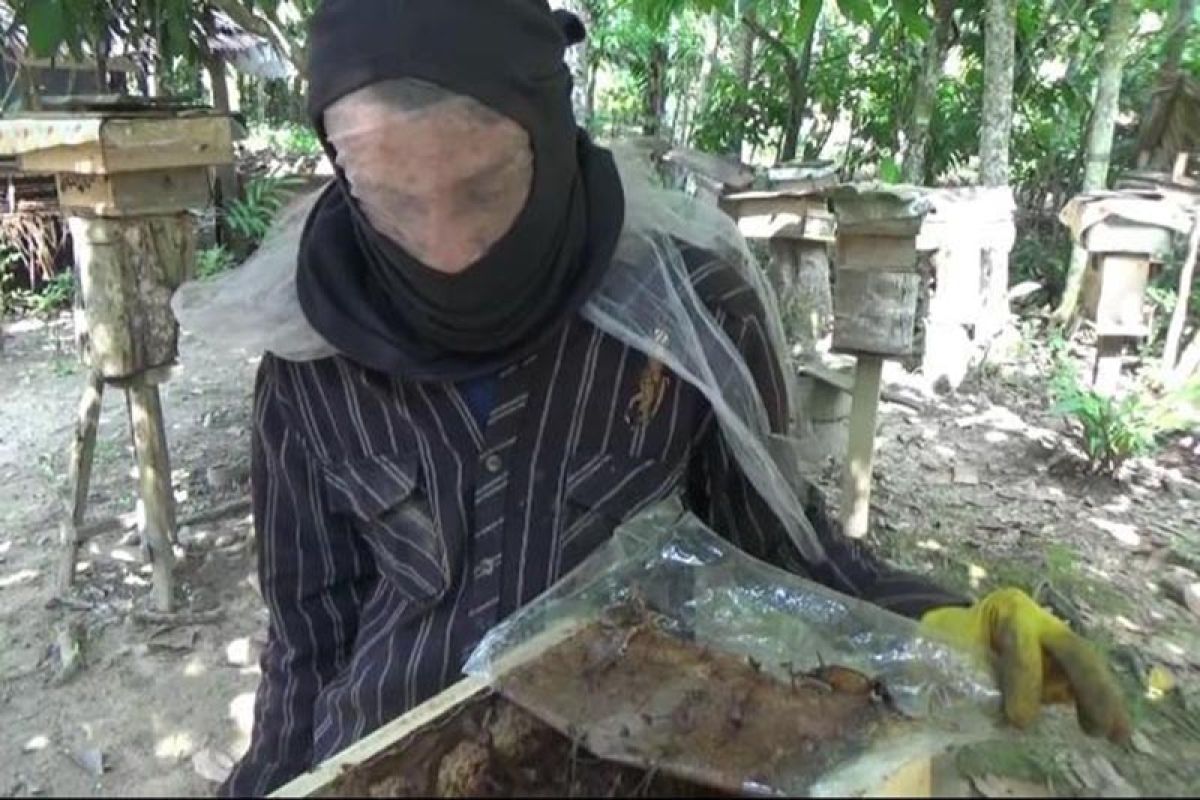 Pemuda Aceh Utara raup jutaan rupiah dari budi daya lebah