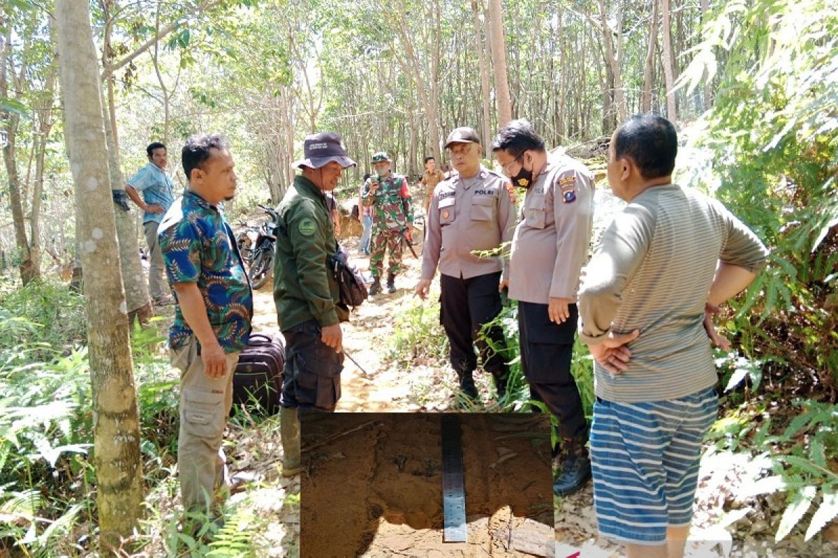 Petugas gabungan temukan jejak Harimau di kebun karet Desa Siraisan