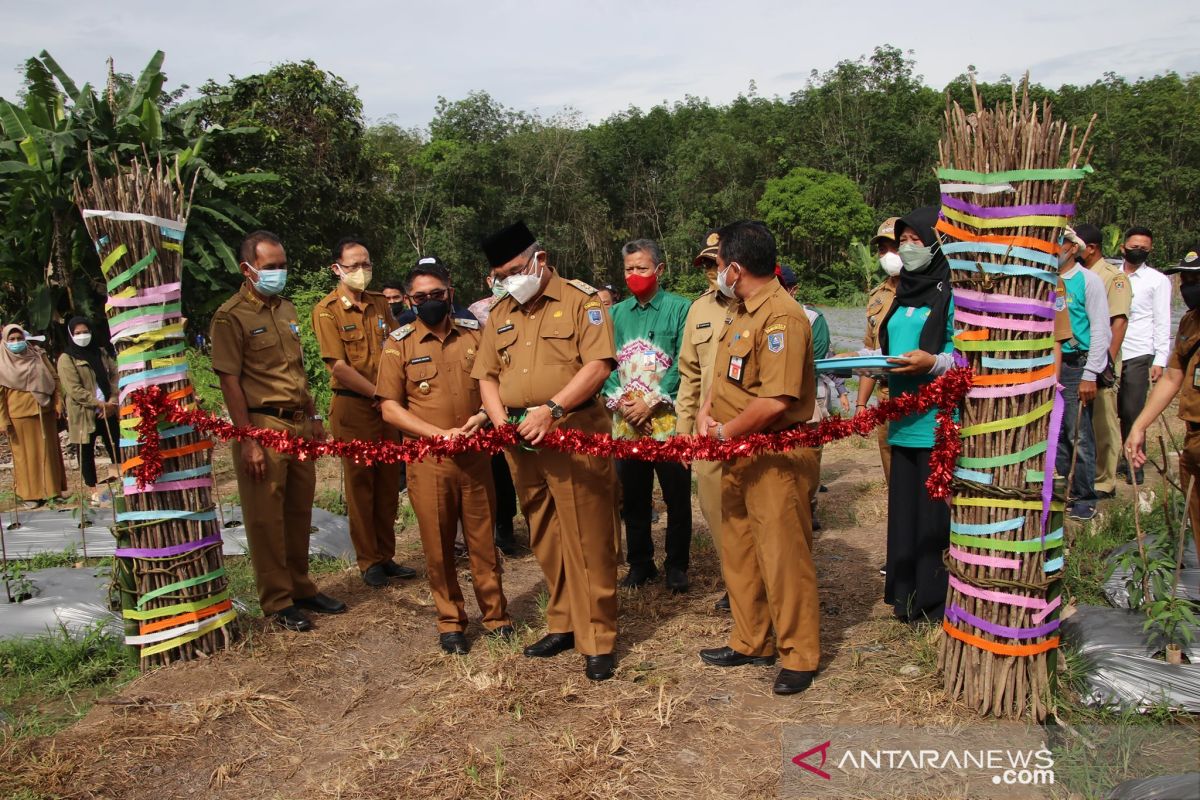 Bupati HSS canangkan kampung Cabai dan peresmian embung desa