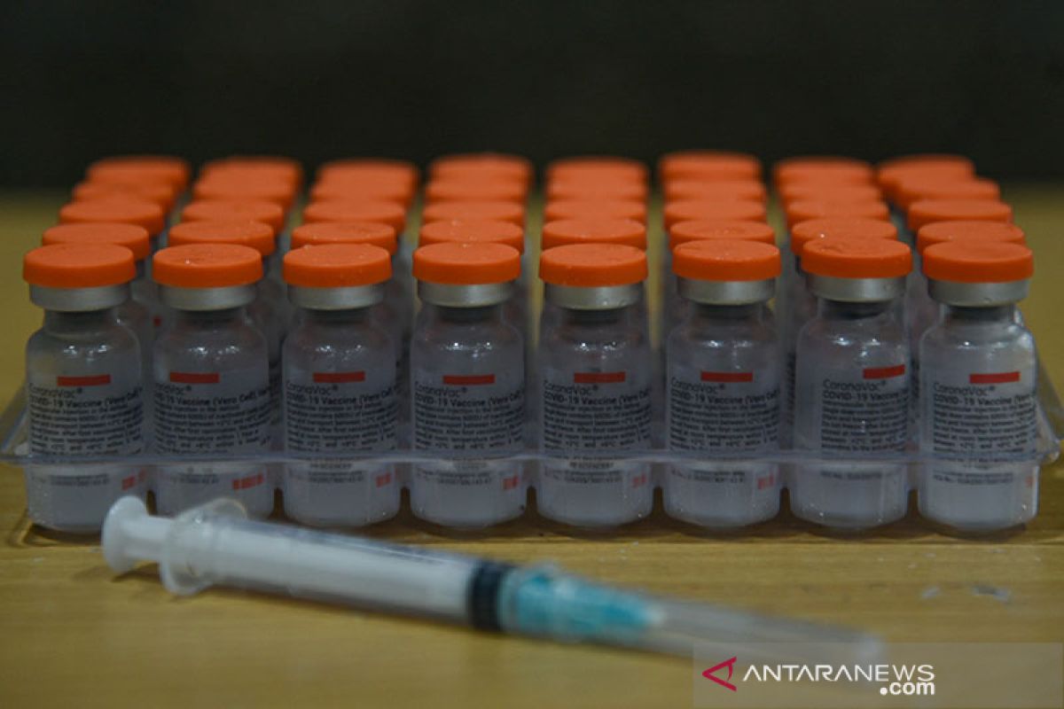 Kemenkes butuh tambahan 30 juta dosis Sinovac untuk vaksinasi anak