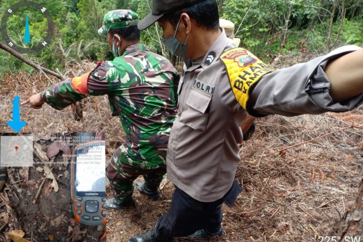 Petugas gabungan kembali temukan jejak harimau di kebun karet masyarakat di Palas