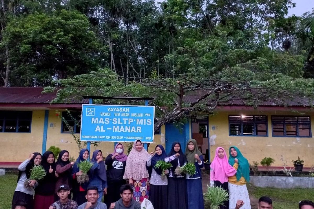 Dari lahan UMTS, millenial farmers Tabagsel panen sayur, hasilnya untuk panti asuhan