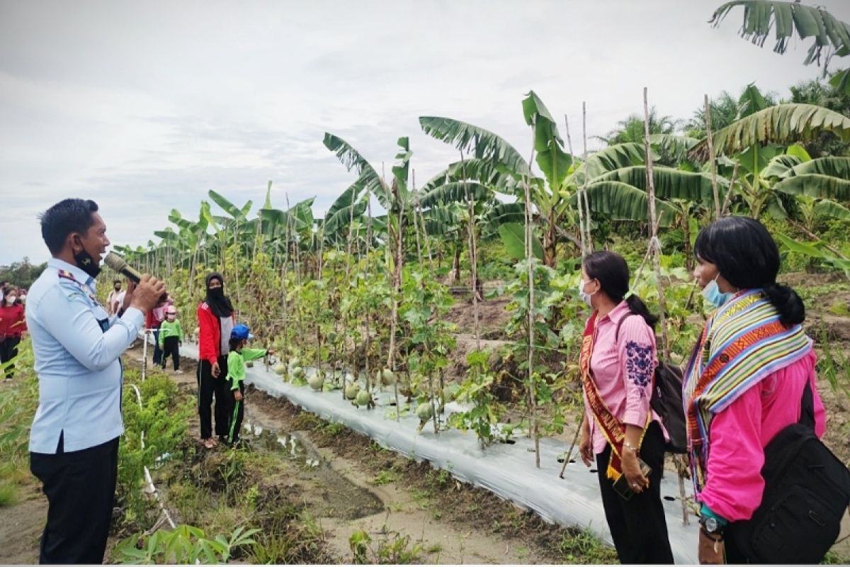 Agrowisata Gawi Barinjam Lapas Sukamara jadi pilihan sarana edukasi anak