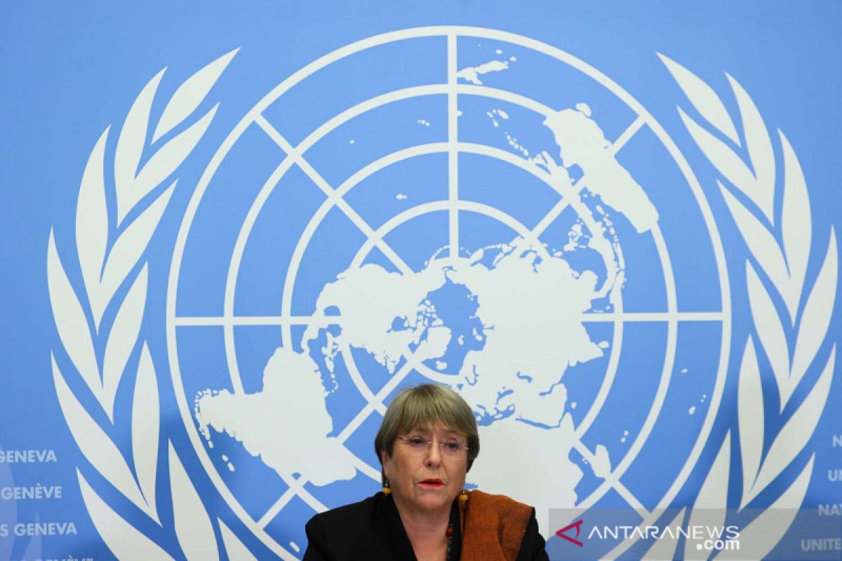 Komisioner HAM PBB tidak akan calonkan diri untuk periode kedua