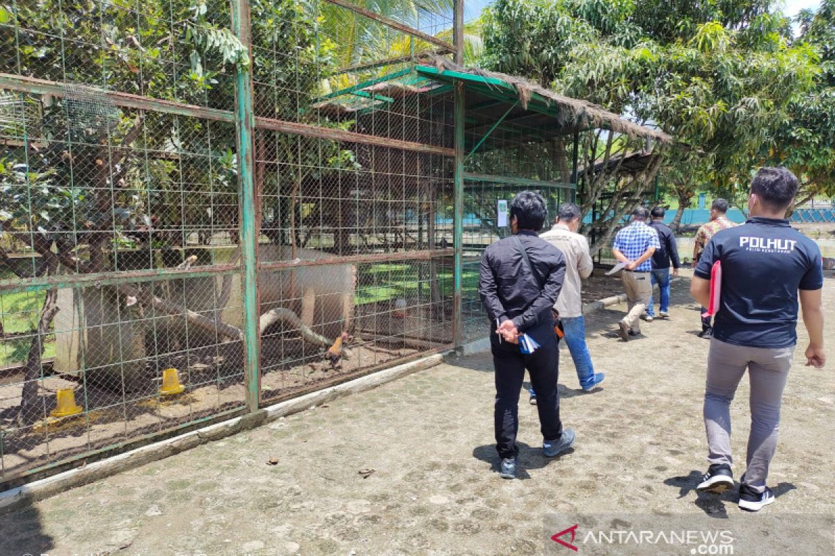 PN Padangsidimpuan tolak gugatan Walhi terhadap PT Nuansa Alam Nusantara