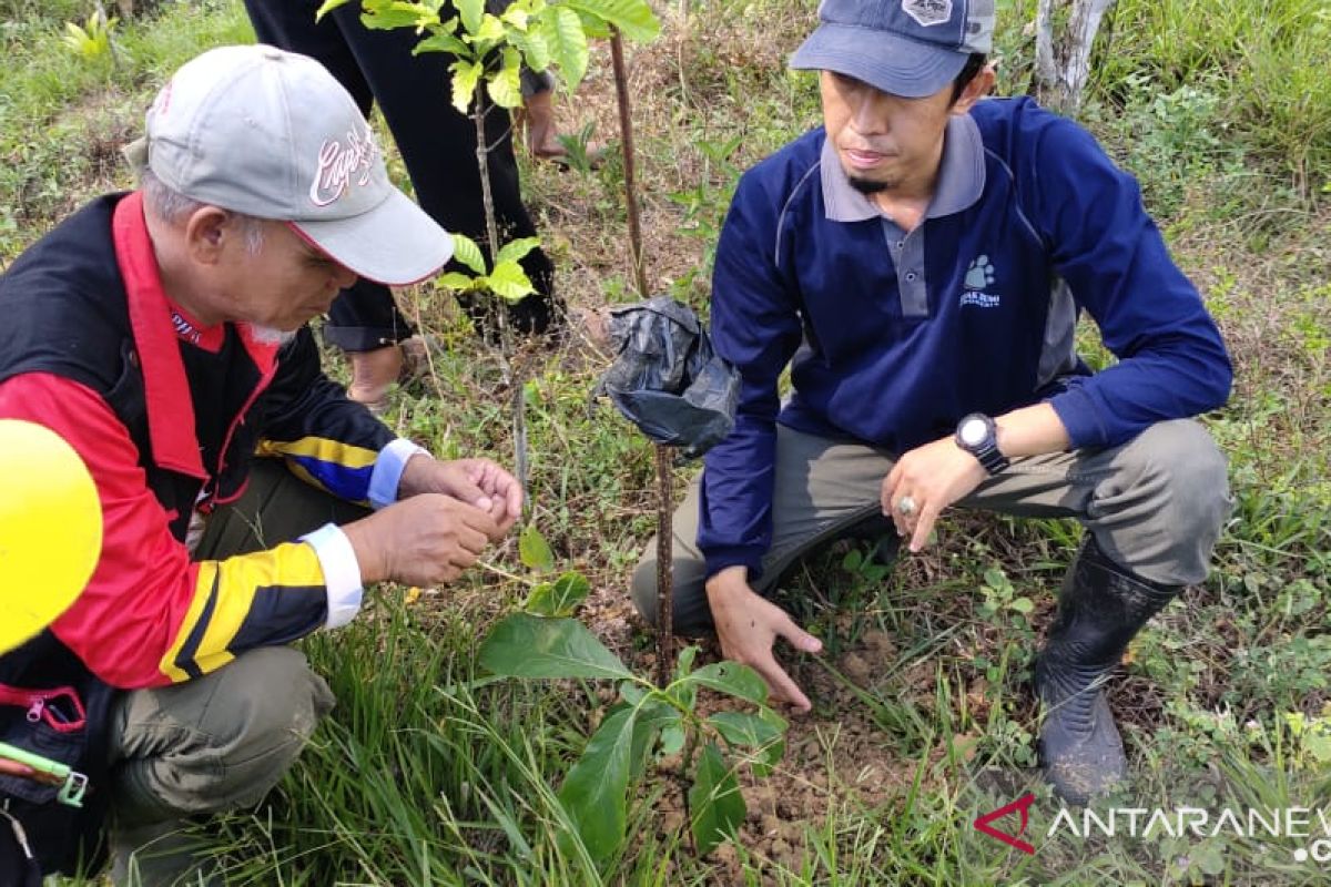 Jejak Bumi Indonesia: 64.000 ha hutan di Kabupaten OKU Sumsel kritis