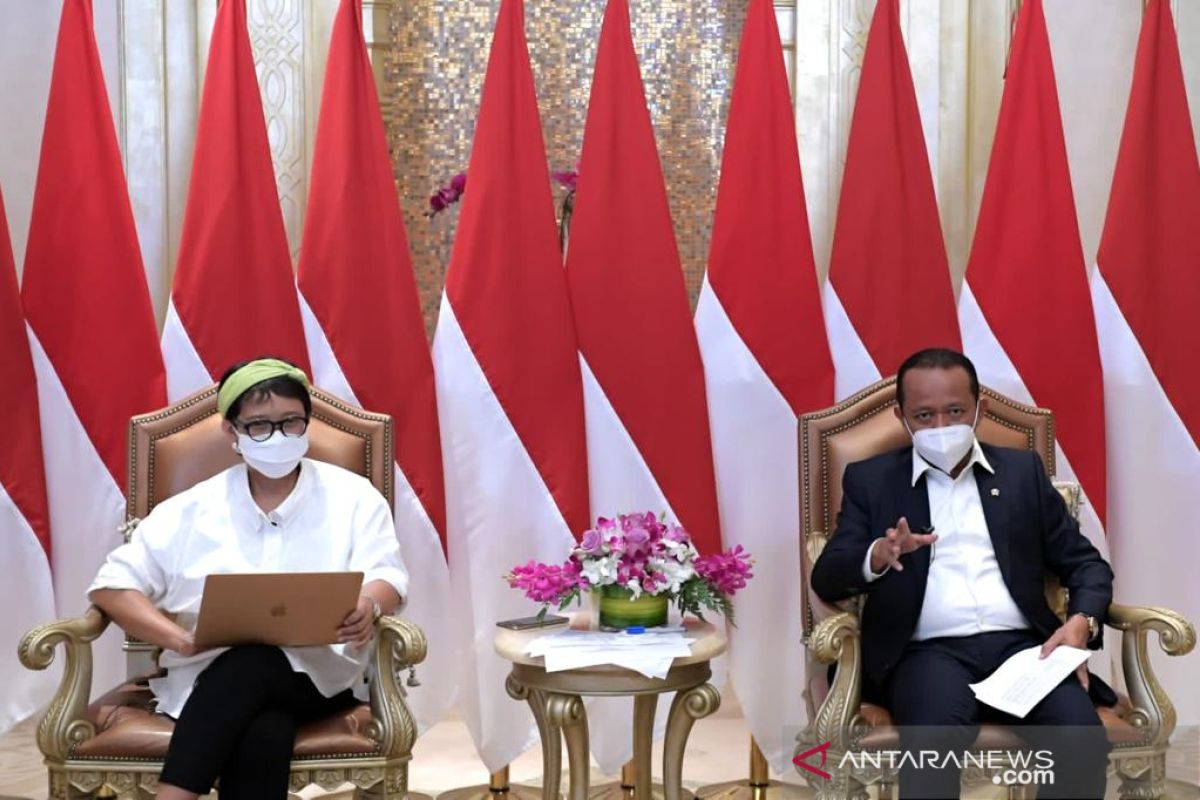 President Jokowi to meet UAE Vice President: Foreign Minister