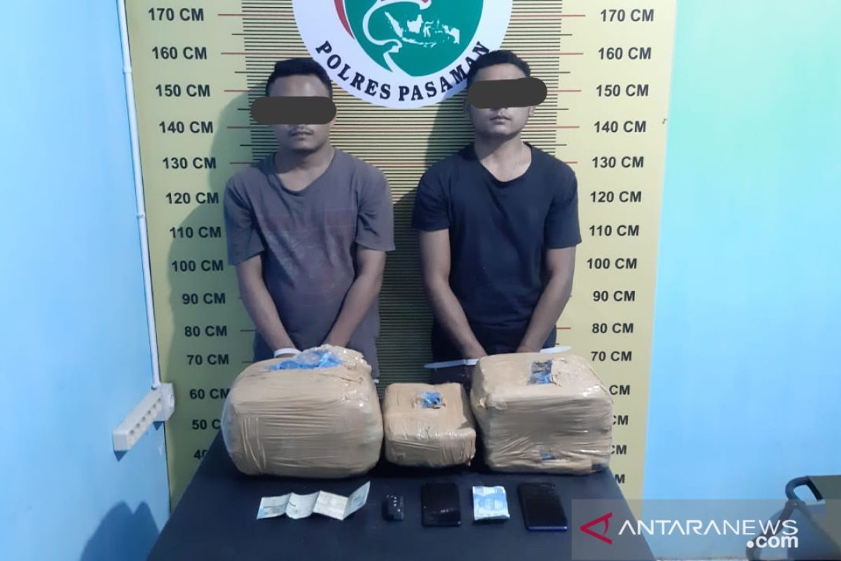 Polres Pasaman tangkap dua warga Madina karena diduga kurir narkoba