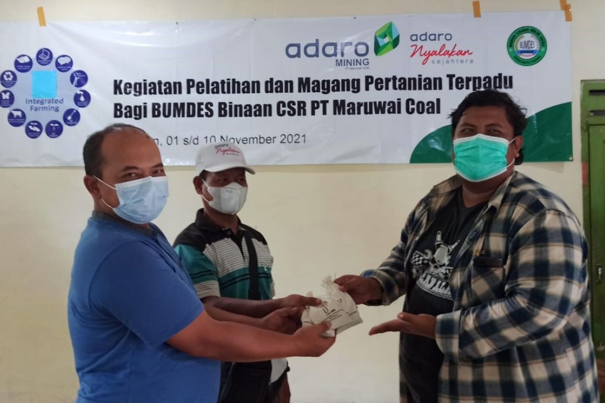 AMC perkuat kapasitas BUMDES binaan melalui pelatihan pertanian terpadu