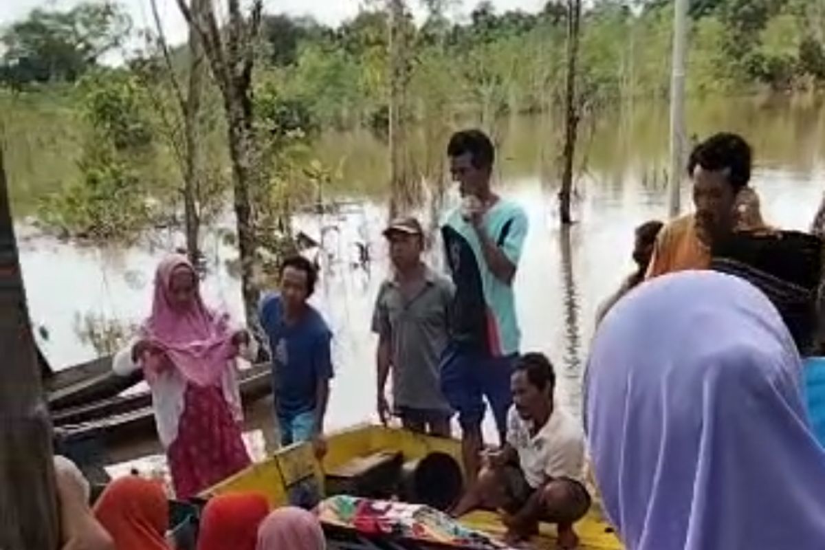 Soimah tewas tenggelam saat banjir besar di Sintang Kalbar