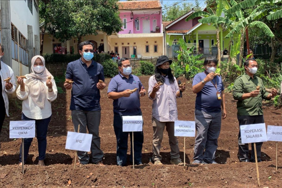 Jamkrindo optimalkan kontribusi sektor pertanian Garut