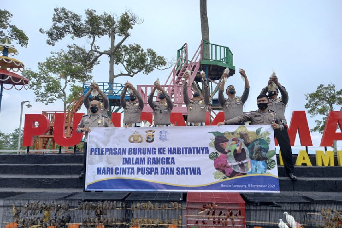 Ditlantas Polda Lampung lepas 500 ekor burung peringati "Hari Cinta Puspa dan Satwa"