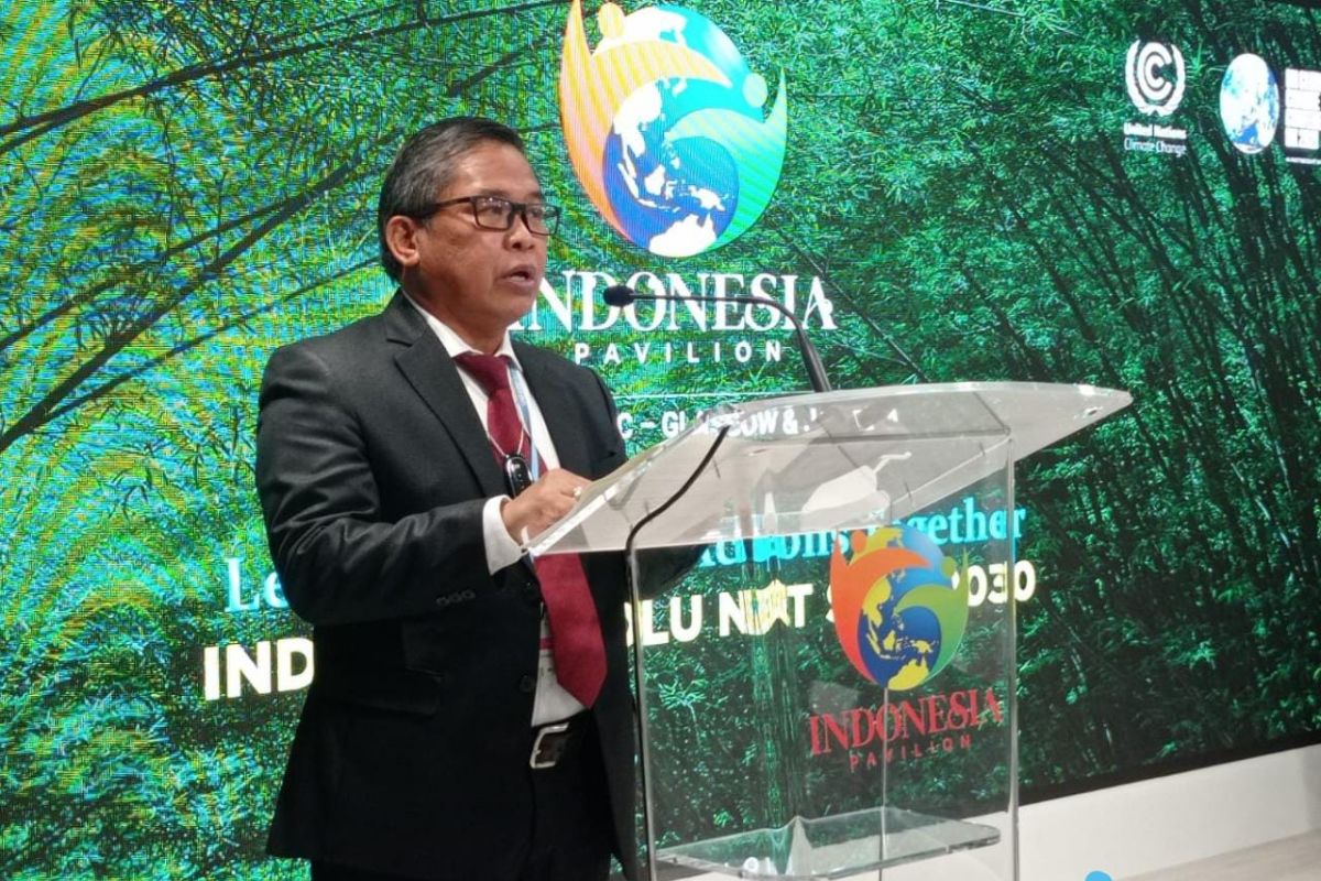 Penekanan pada kelestarian produksi kayu perkuat SVLK di 2021