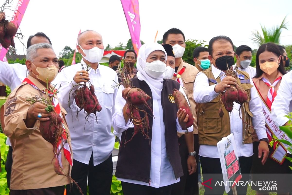 Gubernur Khofifah ajak kaum milenial jadi petani modern