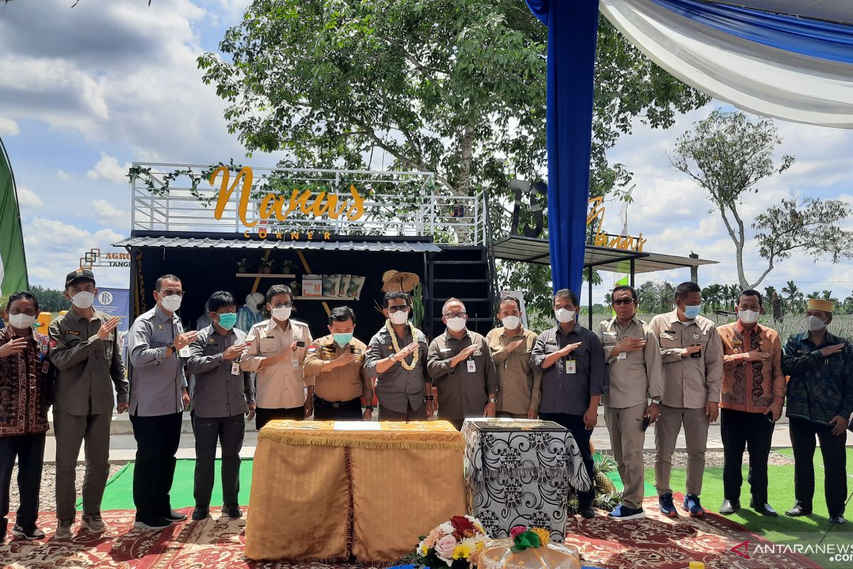 Gubernur Jambi dukung perluas kebun nanas untuk industri skala besar