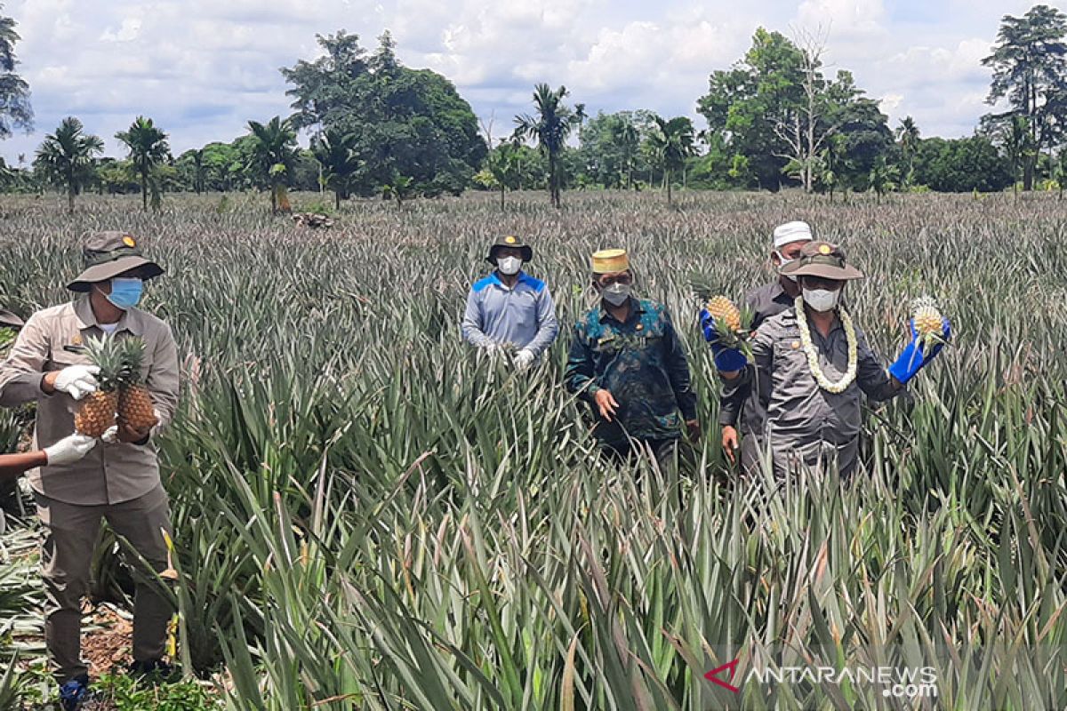 Diversify agriculture, products to boost income potential: Minister