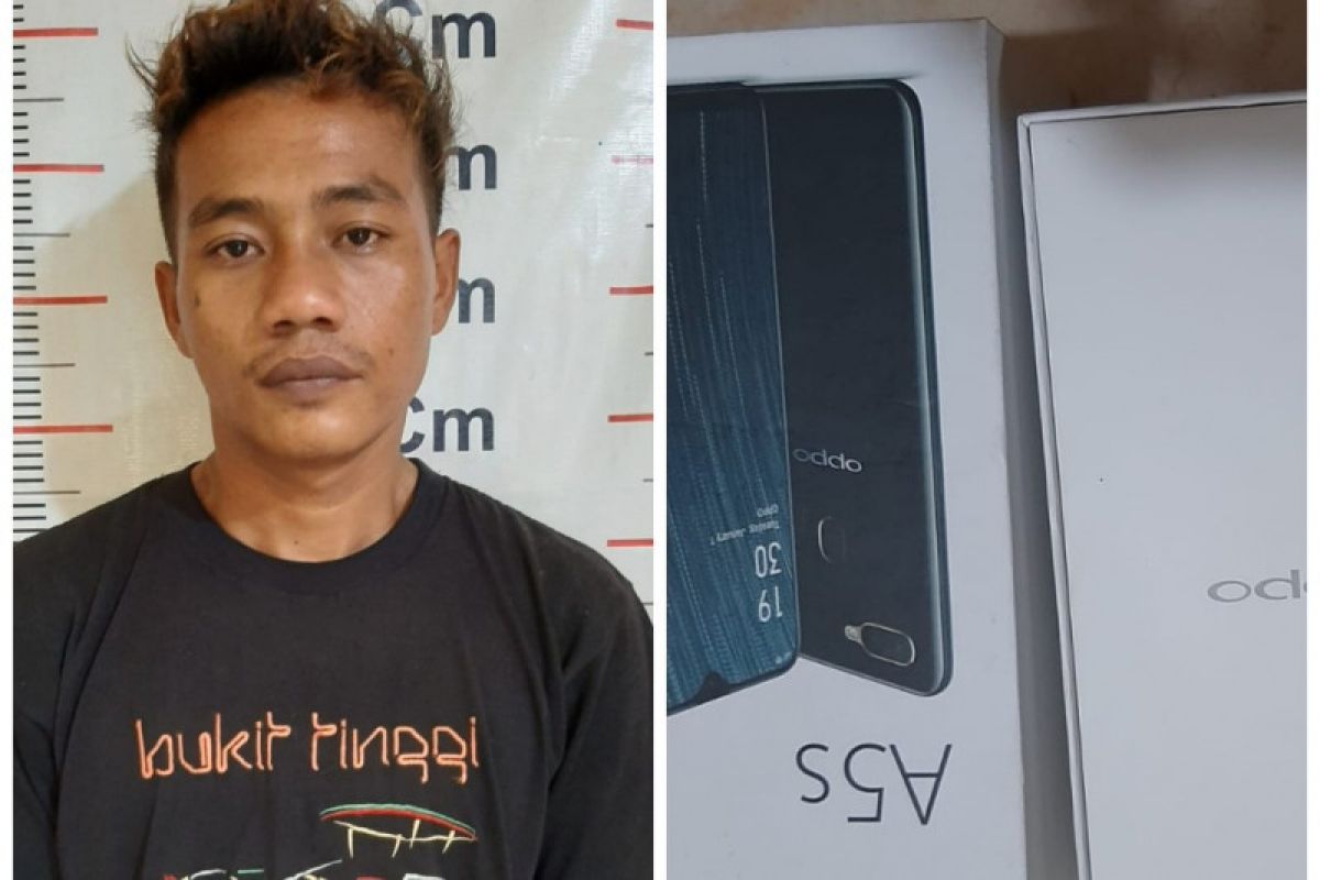 Polsek Bahorok tangkap pencuri handphone