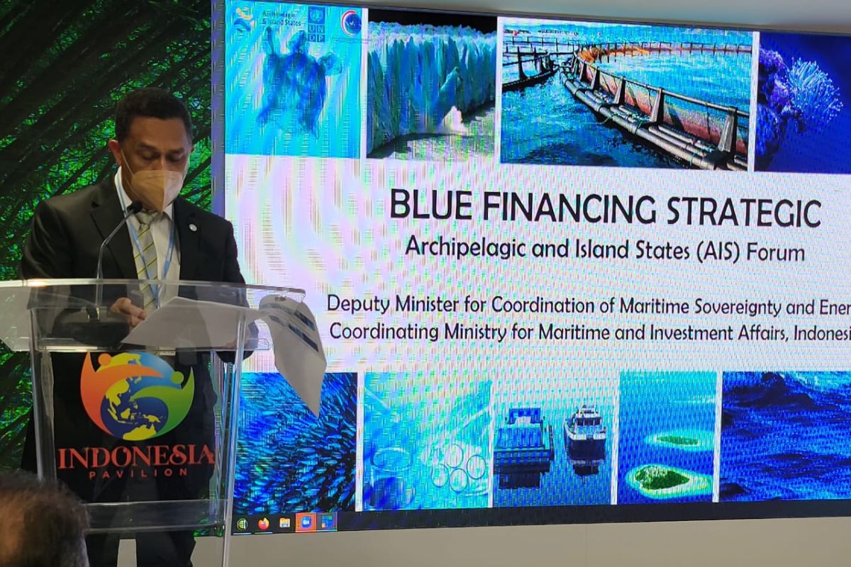 Indonesia bahas strategi pembiayaan biru perkuat ekonomi negara kepulauan