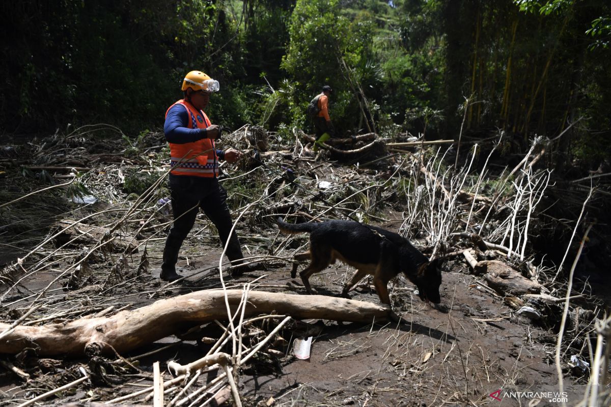 SAR Dog Jatim sisir sungai lacak korban banjir bandang Batu